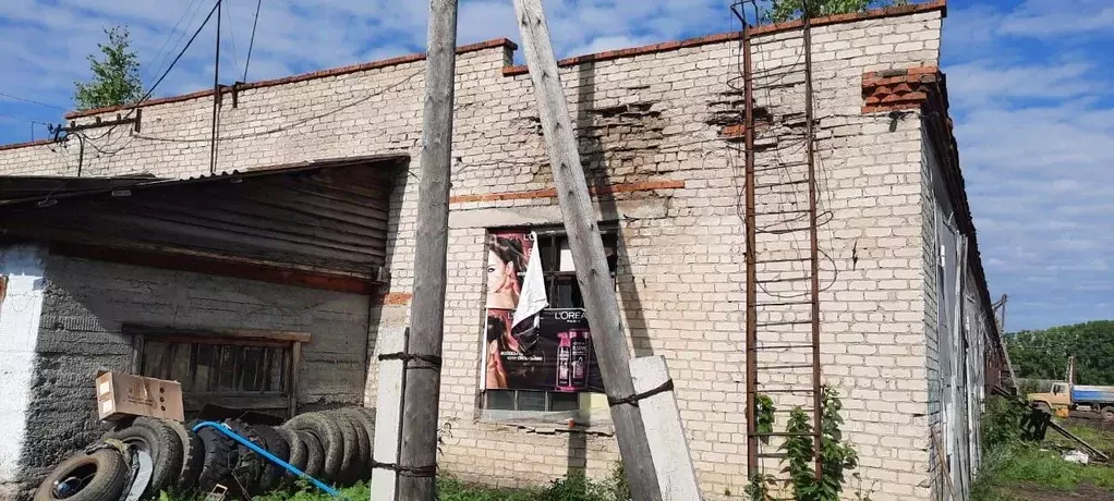 Помещение свободного назначения в Томская область, Молчановский район, ... - Фото 1