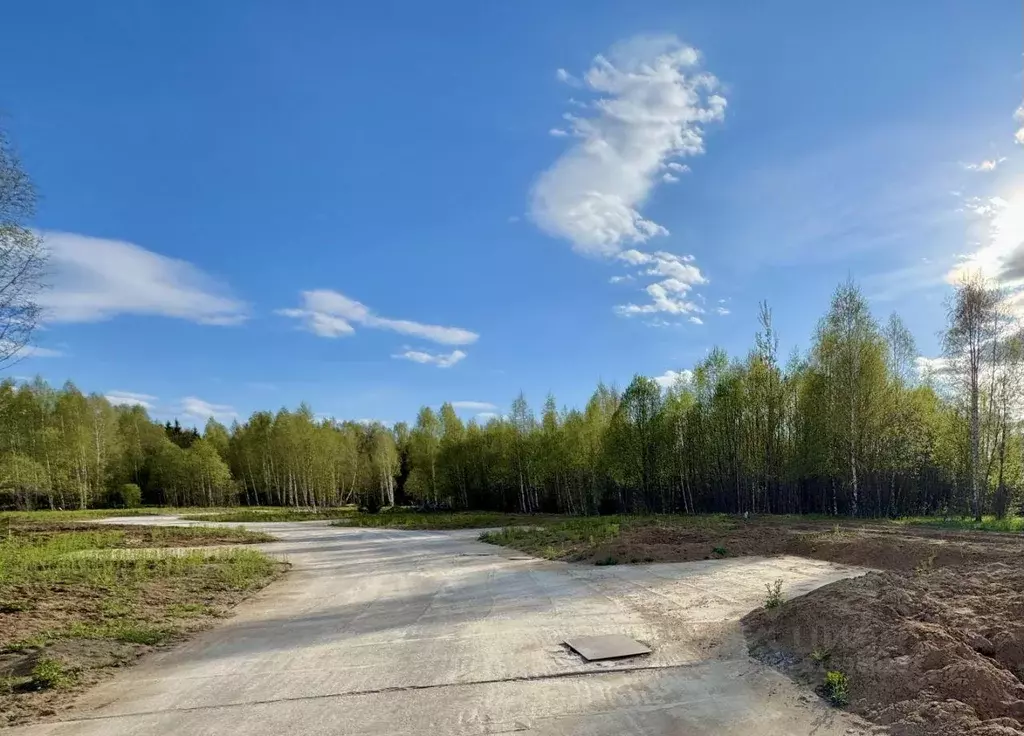 Участок, 11.9 сот., поселения (ижс) - Фото 0