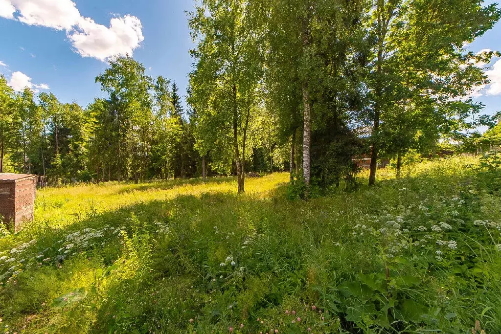 Продается участок в д. Сазонки - Фото 2