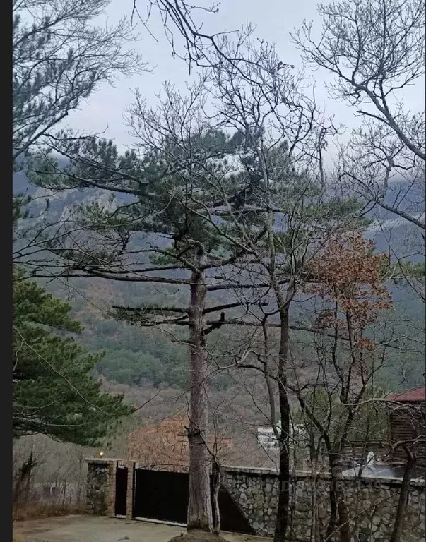 Дом в Крым, Ялта муниципальный округ, Виноградное пгт ул. Красина, 40 ... - Фото 2