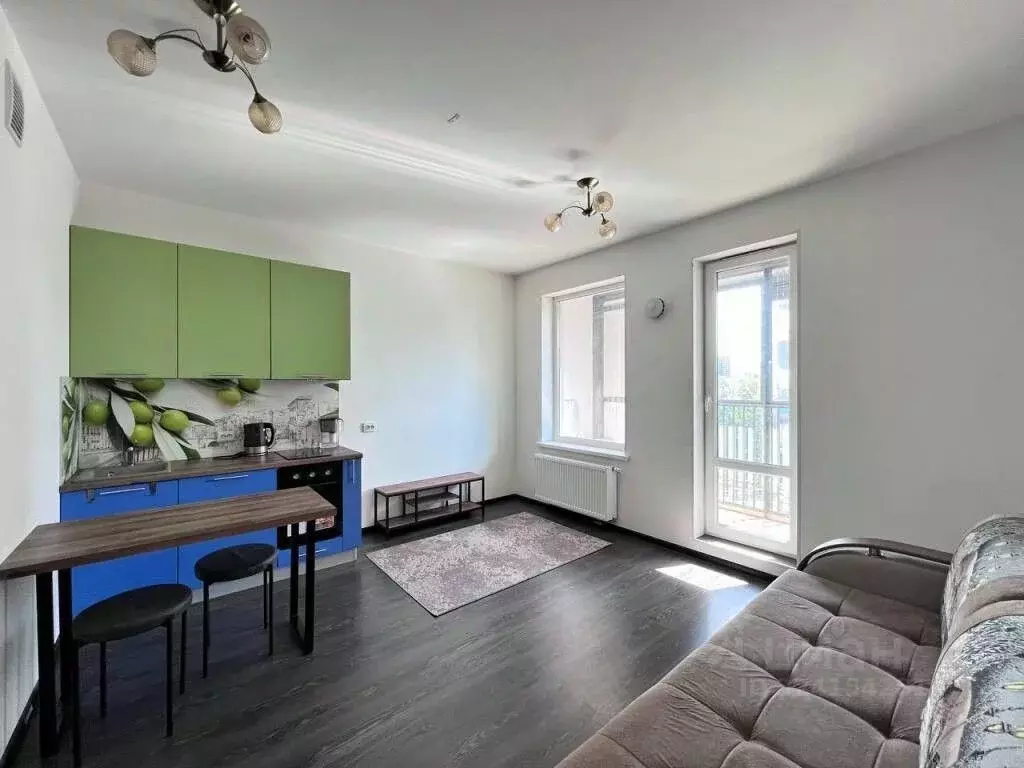 Студия Санкт-Петербург Светлановский просп., 8 (24.2 м) - Фото 2