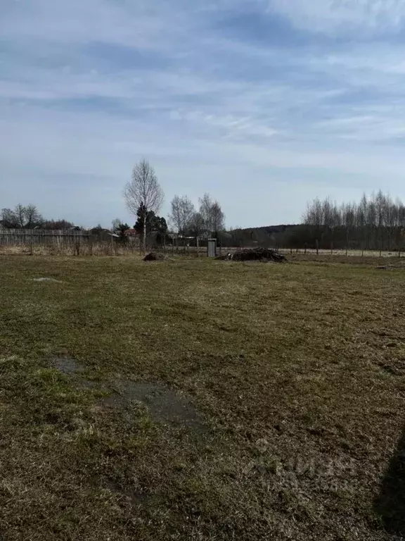 Участок в Ивановская область, Ивановский район, Новоталицкое с/пос, д. ... - Фото 1