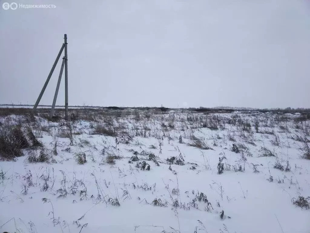 Участок в Омский район, село Дружино (784 м) - Фото 2