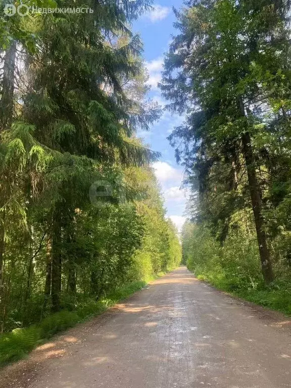 Участок в Тверская область, Калининский муниципальный округ, СНТ ... - Фото 1