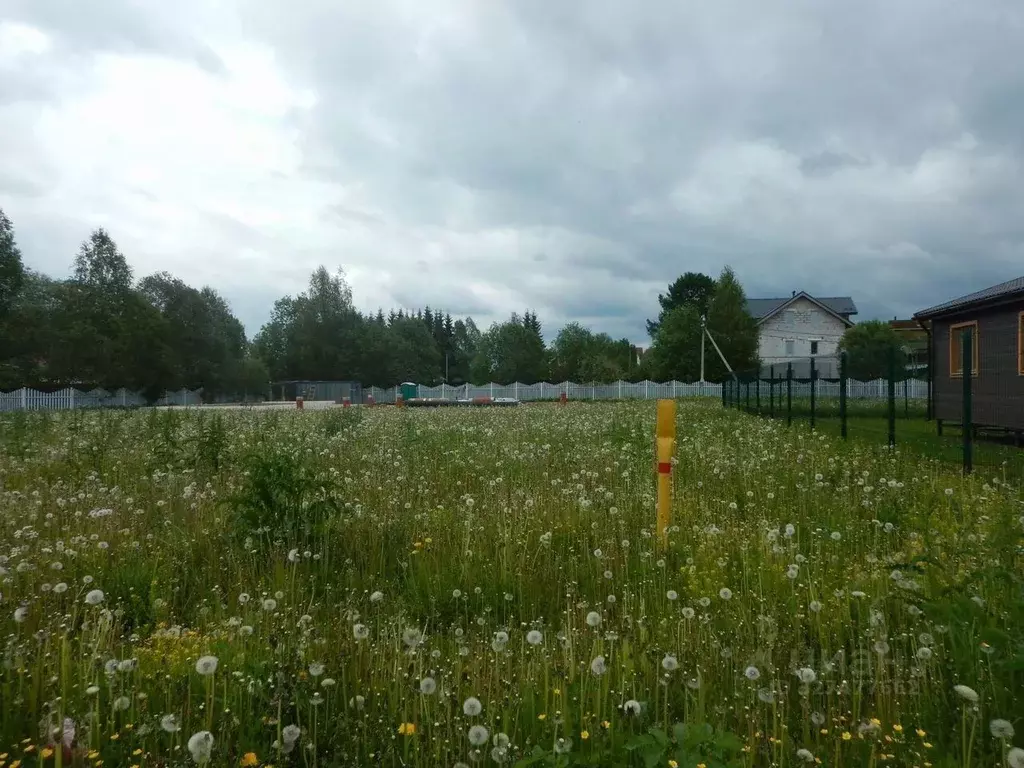 Участок в Ленинградская область, Приозерский район, Запорожское с/пос, ... - Фото 2