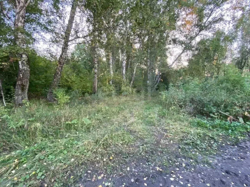 Участок в Новосибирская область, Коченево рп ул. Ермака (5.0 сот.) - Фото 1