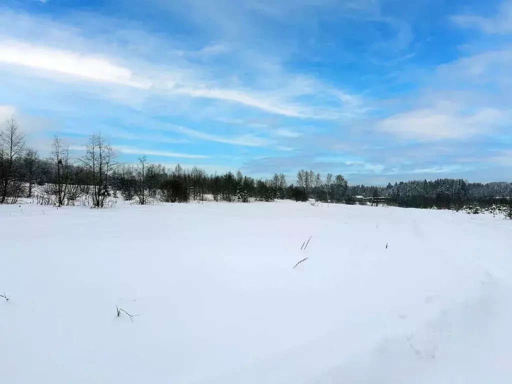 Участок в Московская область, Дмитровский муниципальный округ, Сбоево ... - Фото 0