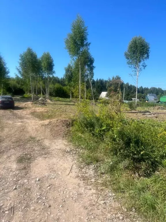 Участок в Пермский край, Пермский муниципальный округ, д. Тупица  ... - Фото 0