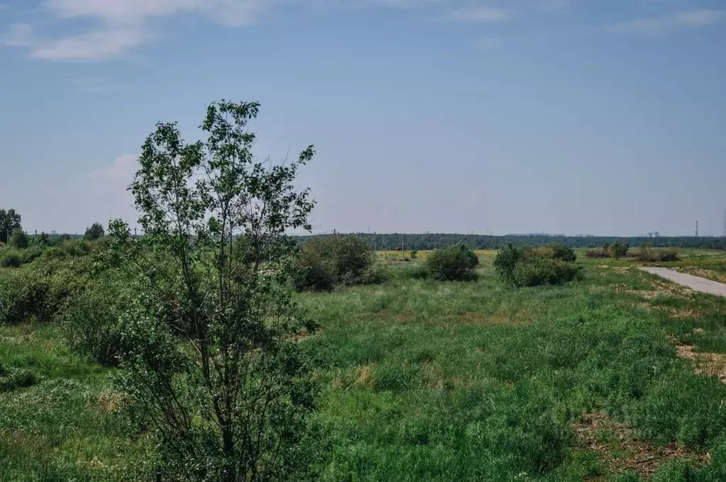 Участок в Ленинградская область, Всеволожский район, Колтушское ... - Фото 0