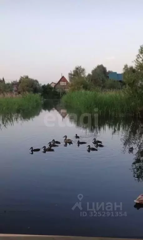 Дом в Новосибирская область, Искитим ул. Камышенская (50 м) - Фото 1