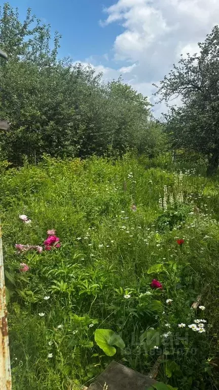 Участок в Челябинская область, Челябинск Металлург СНТ,  (9.0 сот.) - Фото 0