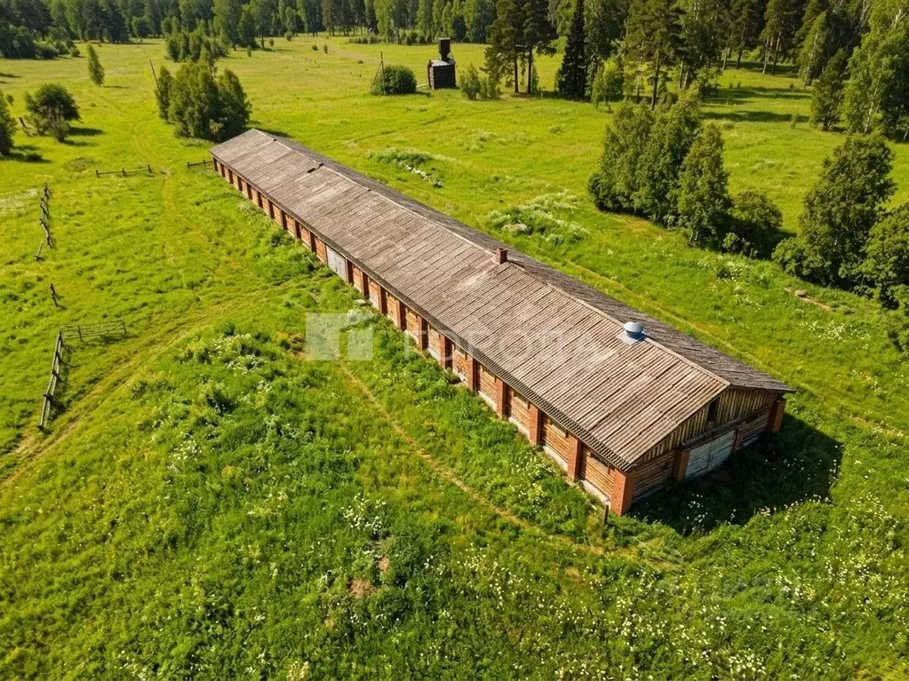 Производственное помещение в Томская область, Томский район, д. ... - Фото 1