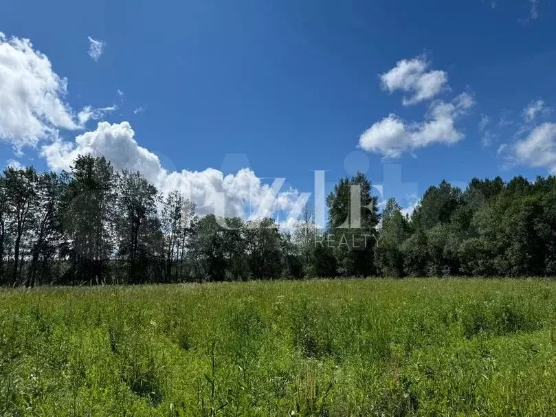 Участок 10 сот. (ИЖС) - Фото 1