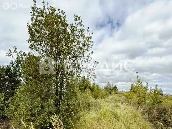 Участок в Пенза, Верхняя улица (10.5 м) - Фото 0