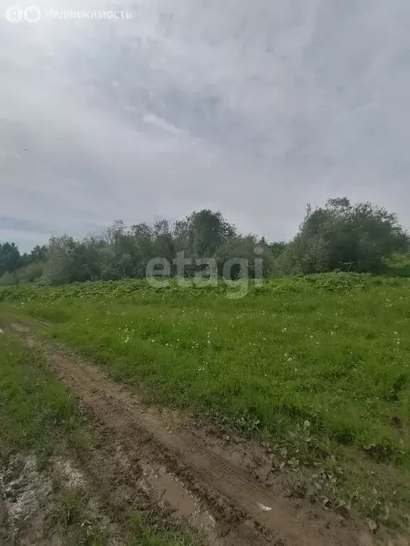 Участок в Республика Коми, муниципальный район Сыктывдинский, ... - Фото 0