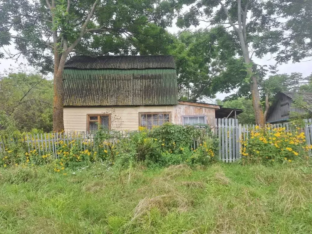 Дом в Приморский край, Кировский район, с. Антоновка  (38 м) - Фото 0