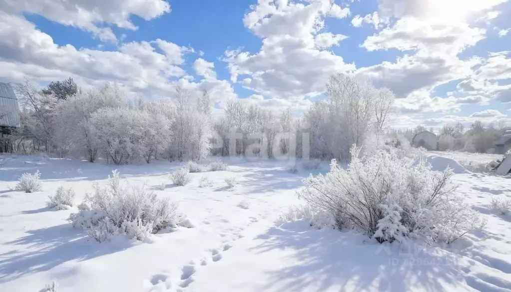 Участок в Ленинградская область, Киришский район, Глажевское с/пос, ... - Фото 1