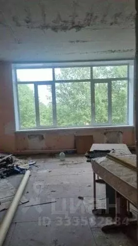 Помещение свободного назначения в Камчатский край, Елизовский ... - Фото 2