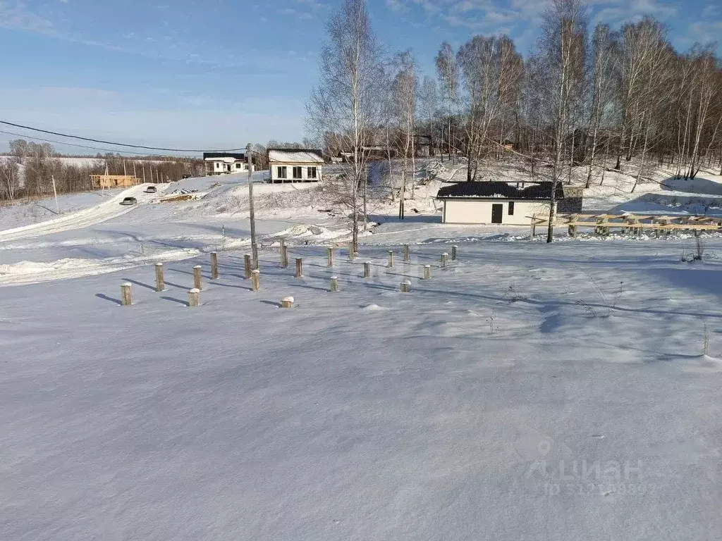 Участок в Новосибирская область, Новосибирский район, Раздольненский ... - Фото 0