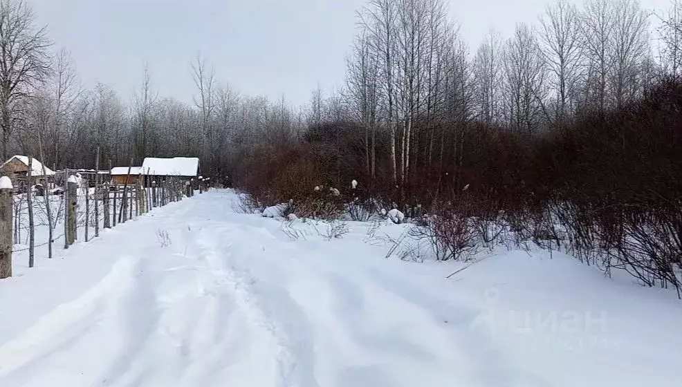 Участок в Псковская область, Псковский район, Торошинская волость, СНТ ... - Фото 2