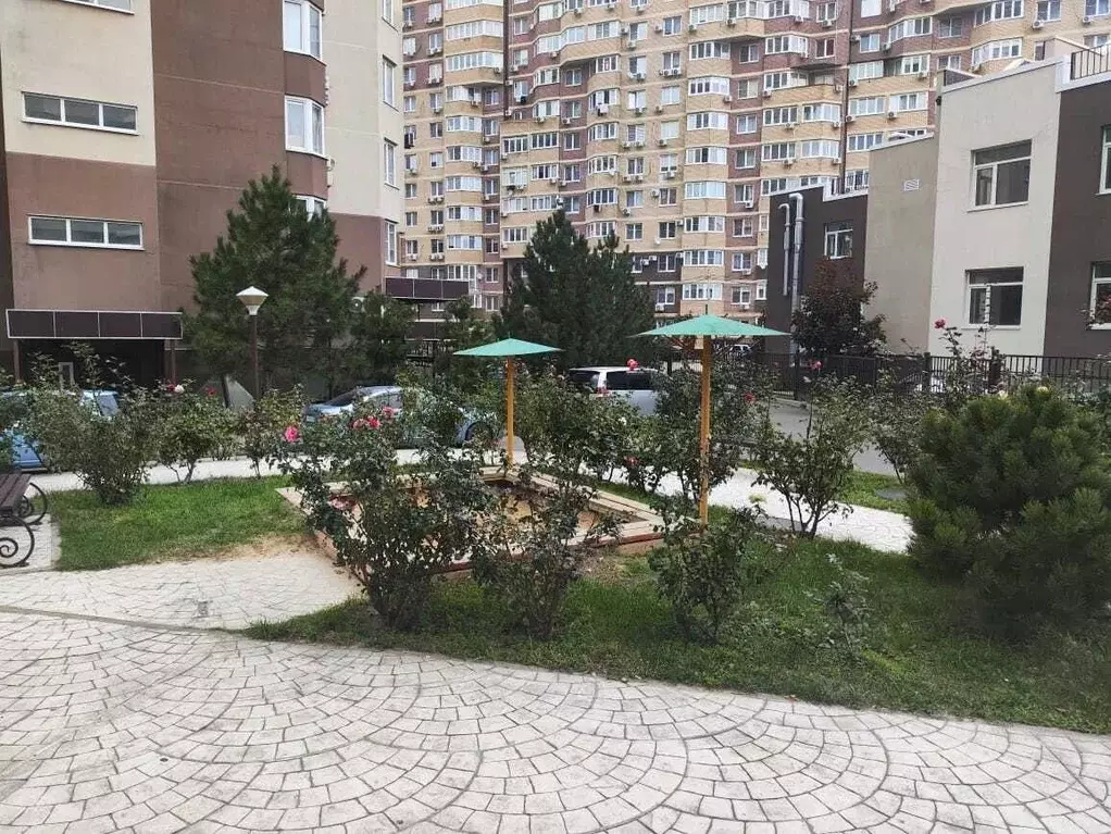 Помещение свободного назначения в Краснодарский край, Анапа ... - Фото 2