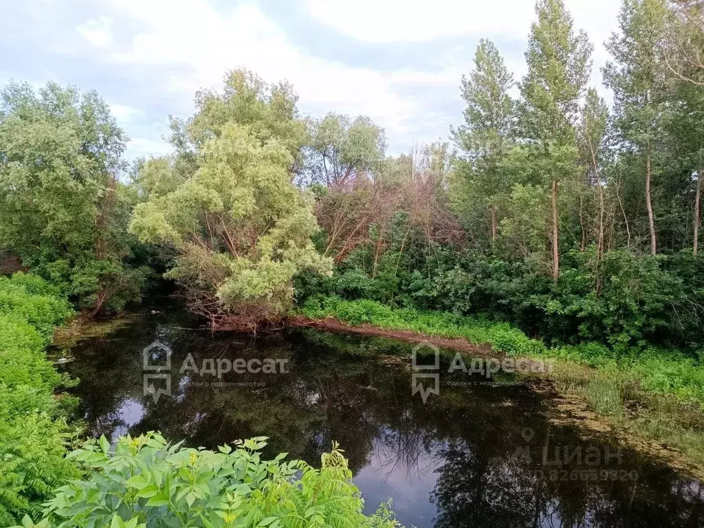 Участок в Волгоградская область, Среднеахтубинский район, Куйбышевское ... - Фото 1