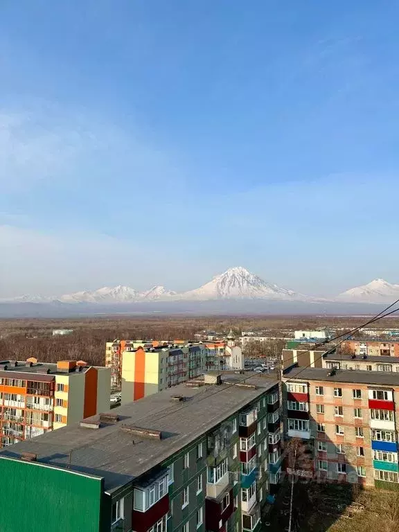 1-к кв. Камчатский край, Елизово ул. Гришечко, 13 (37.0 м) - Фото 0