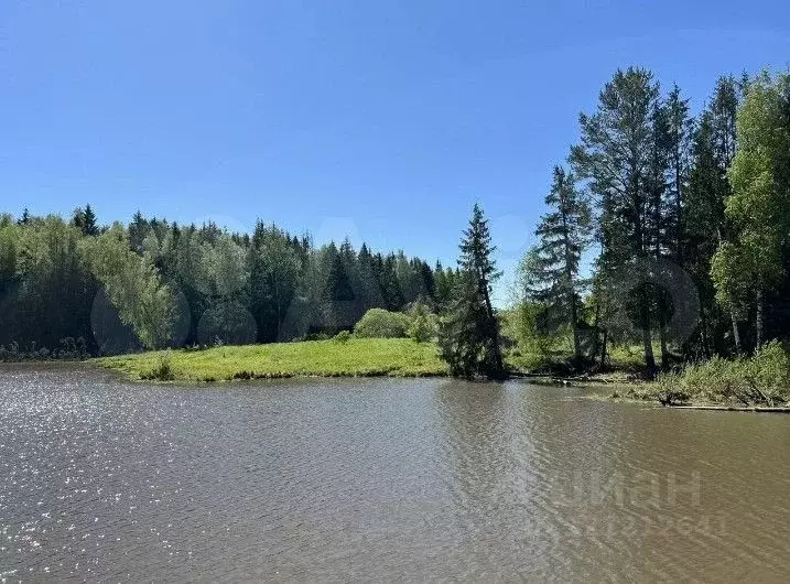 Участок в Калужская область, Боровский муниципальный округ, с. Ворсино ... - Фото 1