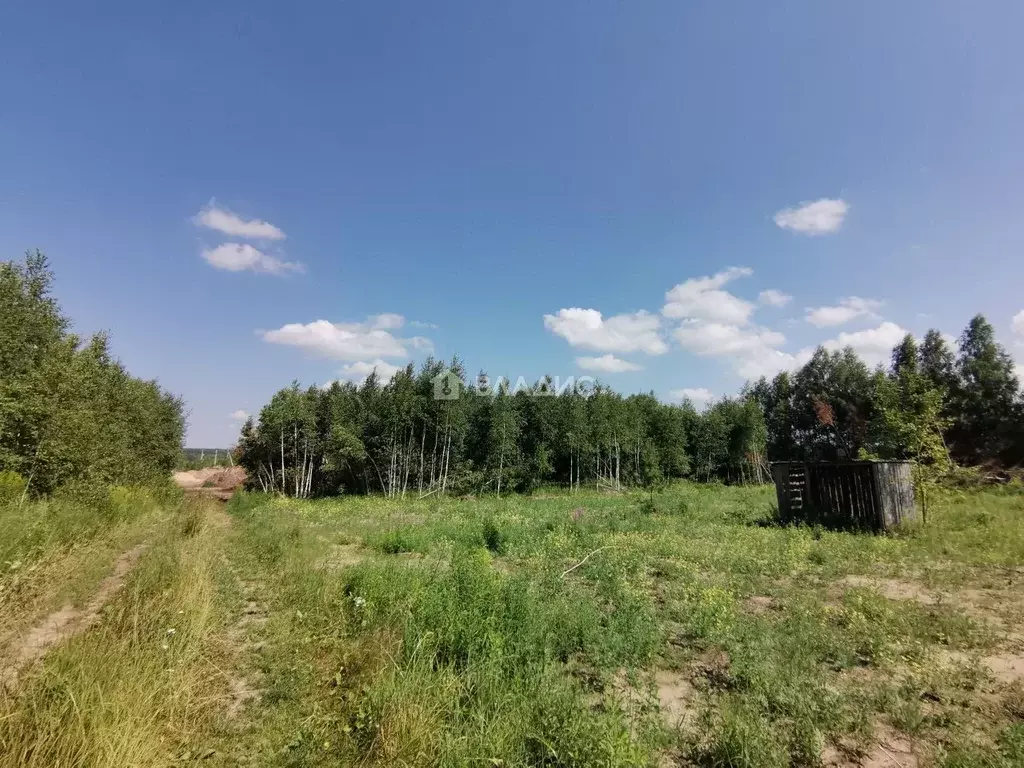 Участок в Нижегородская область, Богородский муниципальный округ, д. ... - Фото 1