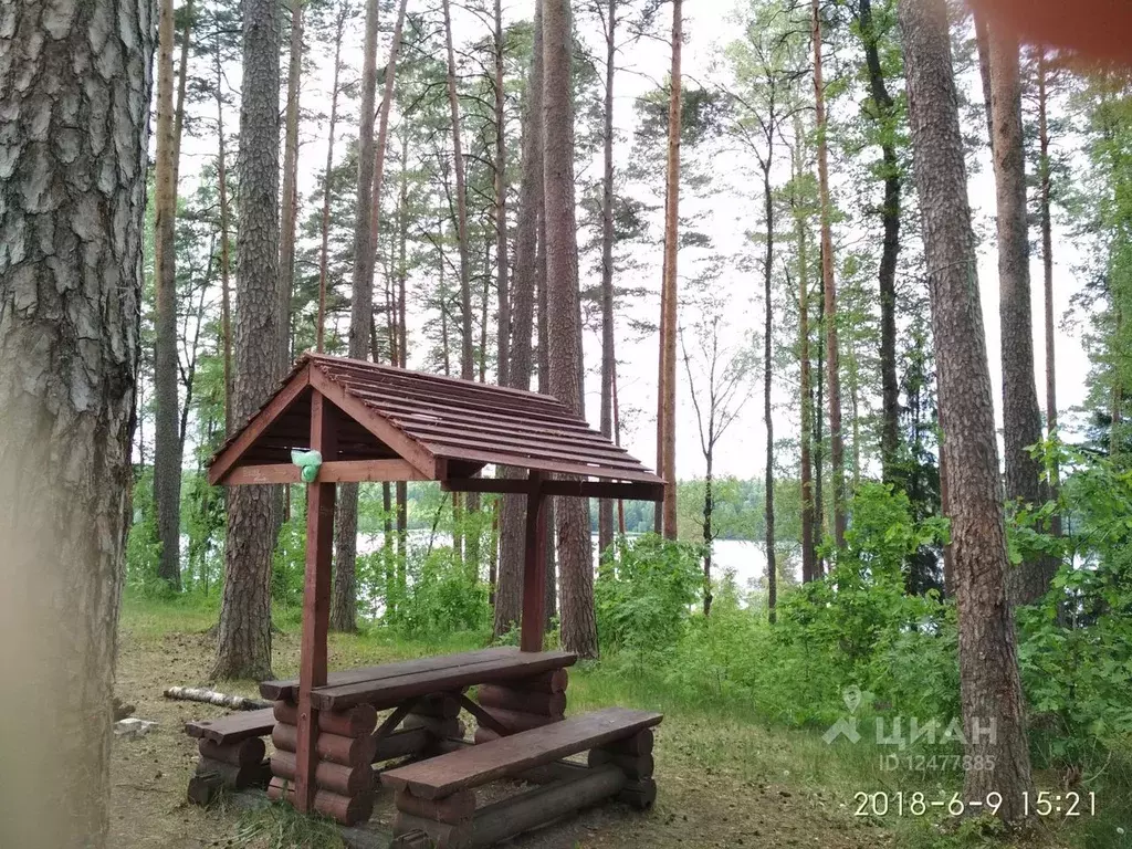 Участок в Ленинградская область, Кингисеппский район, д. Корветино .,  Купить земельный участок Корветино, Кингисеппский район, ID объекта -  20001439451