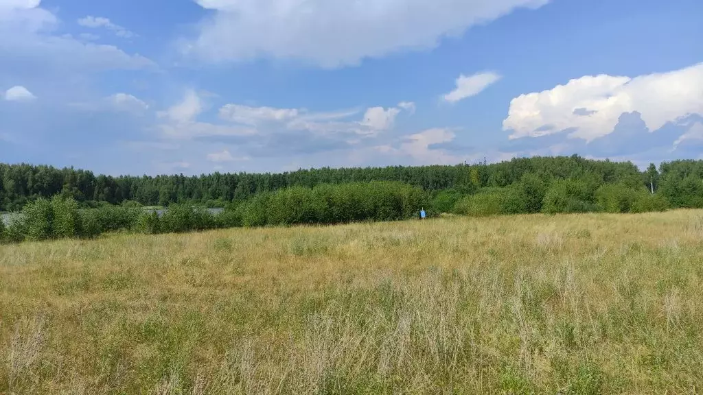 Дегтярево ивановская область. Кукарино Ивановская область. Строкино Ивановская область. Деревня Дегтярево Ивановская область.