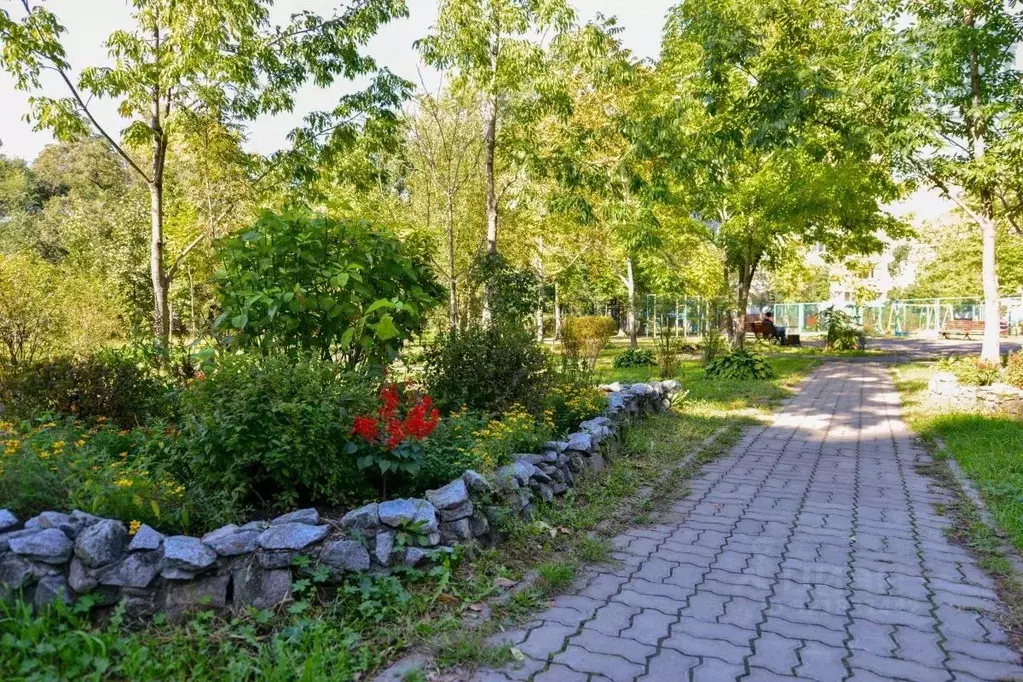 3-к кв. Хабаровский край, Хабаровск Краснореченская ул., 167 (70.0 м) - Фото 2