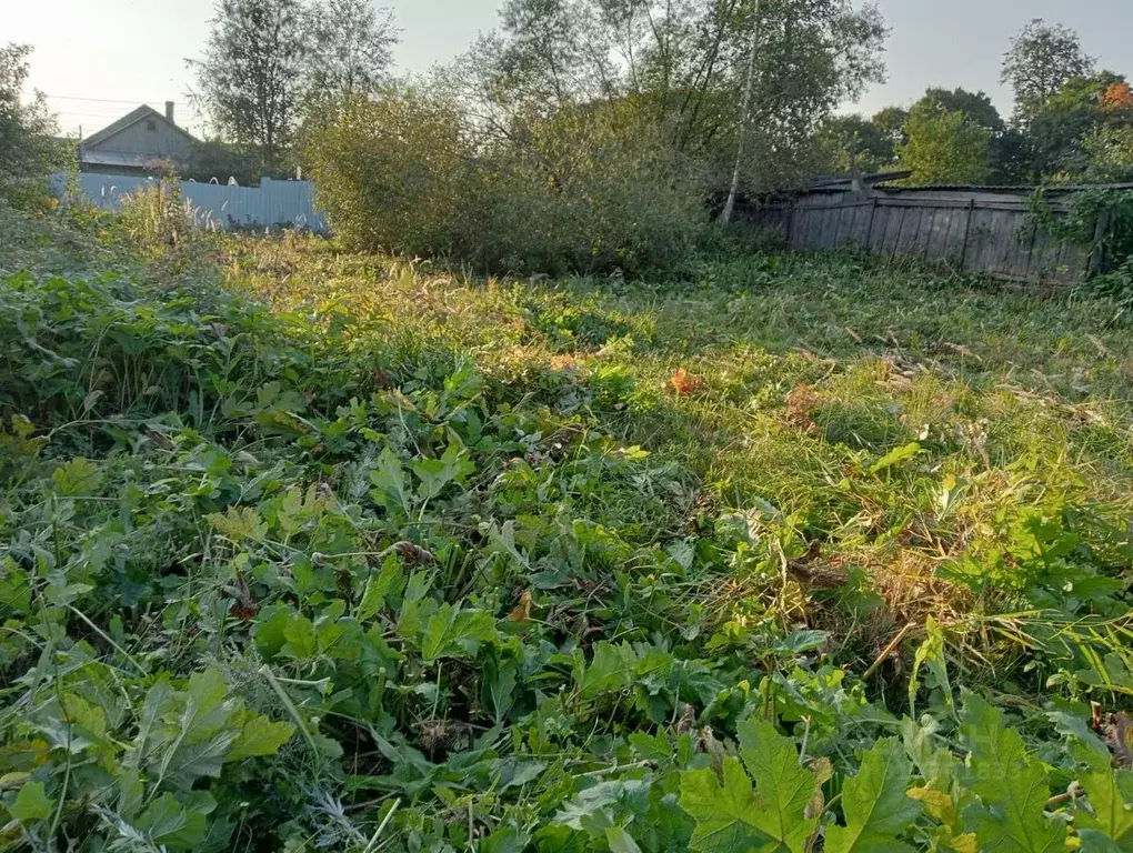 Участок в Московская область, Солнечногорск городской округ, Чашниково ... - Фото 1