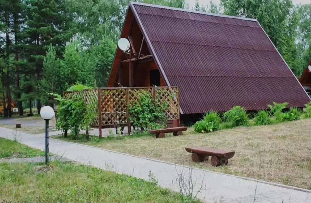 Комната Пензенская область, Шемышейский район, с. Армиево ул. ... - Фото 0