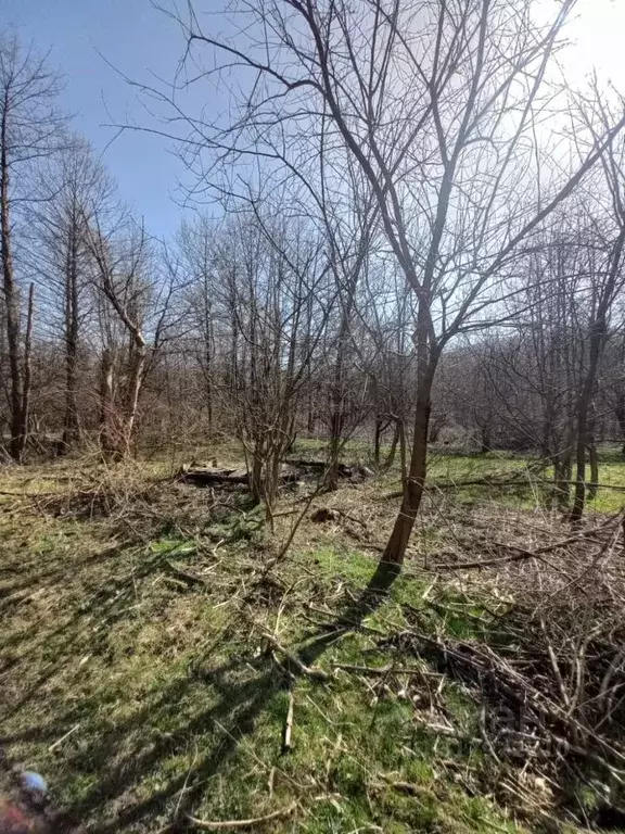 Участок в Северная Осетия, Владикавказ Редант СНО,  (6.0 сот.) - Фото 1