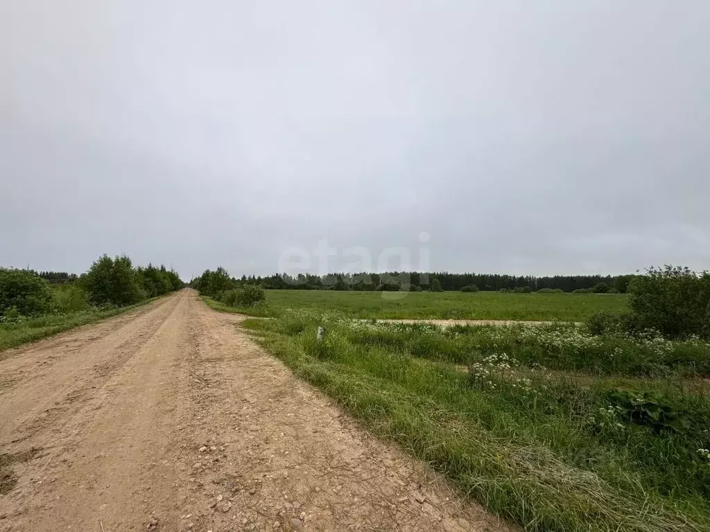 Участок в Костромская область, Красносельский район, Шолоховское ... - Фото 2