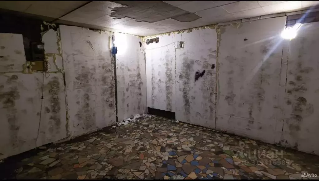 Гараж в Новосибирская область, Новосибирск Железнодорожная ул., 13 (22 ... - Фото 0