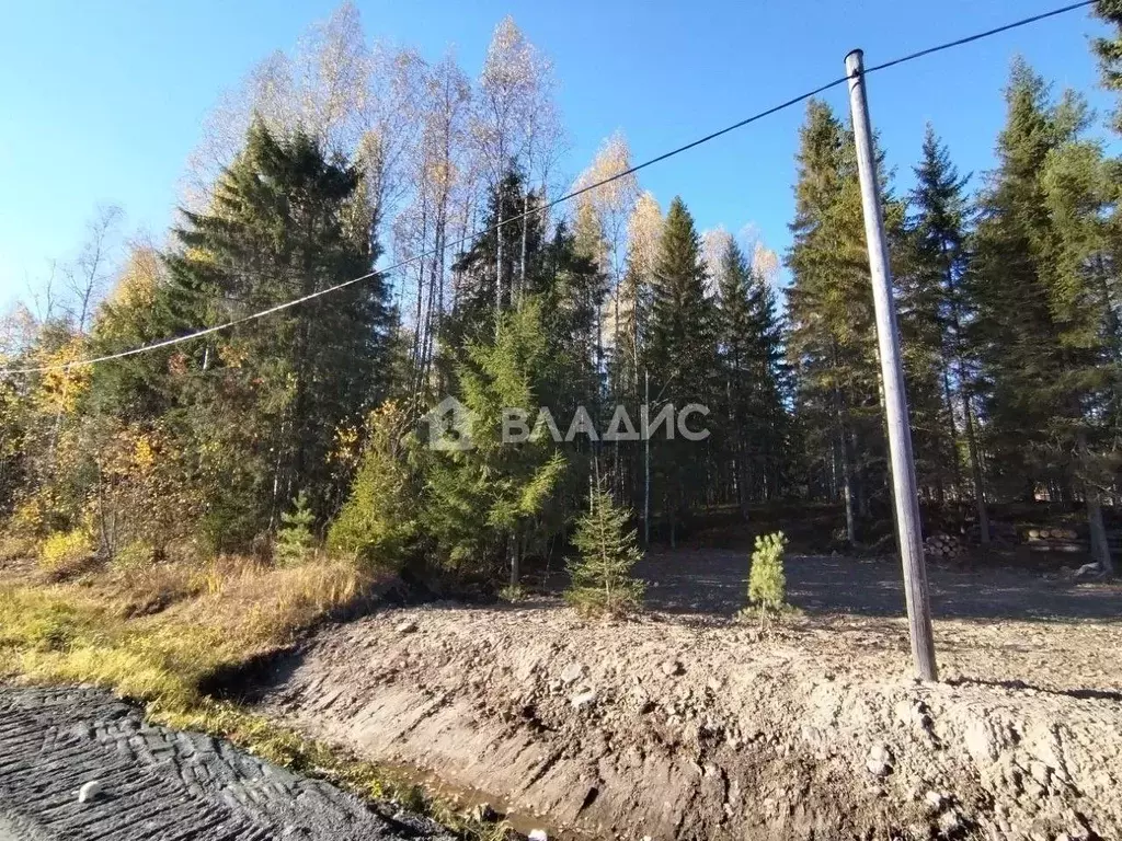 Участок в Карелия, Прионежский район, Нововилговское с/пос, Ветеран-3 ... - Фото 1