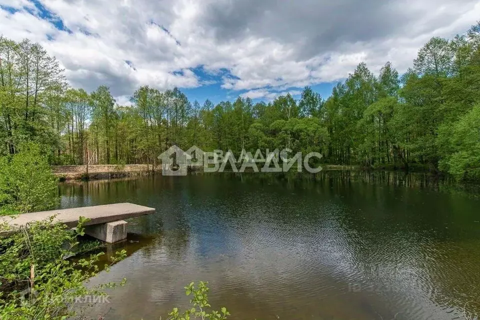 Участок в Владимирская область, Судогодский район, д. Ладога, Ладога ... - Фото 2