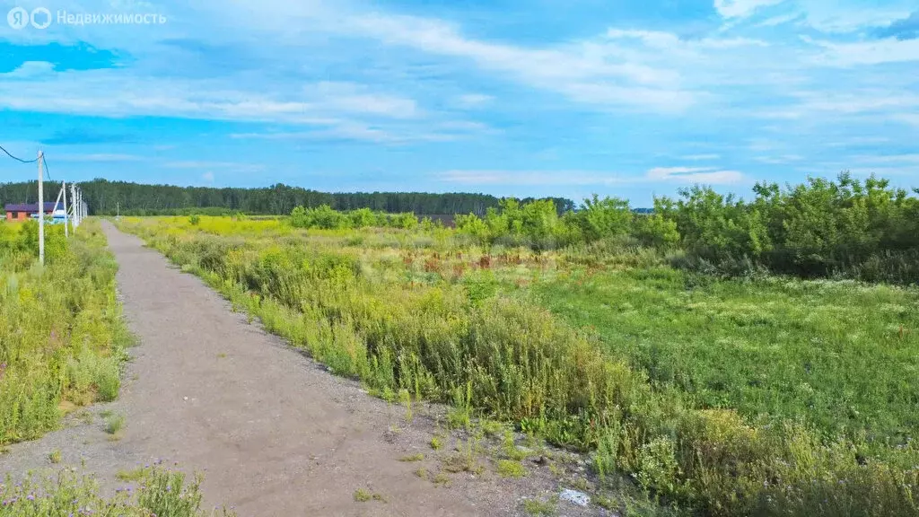 Участок в Пушкино, улица 30 лет Победы (6.5 м) - Фото 1