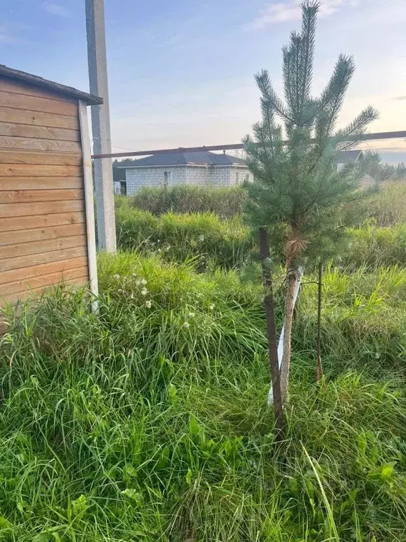 Дом в Новгородская область, Новгородский район, Трубичинское с/пос, ... - Фото 1