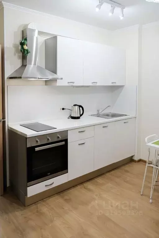 Студия Санкт-Петербург Лабораторный просп., 20к3 (25.1 м) - Фото 1