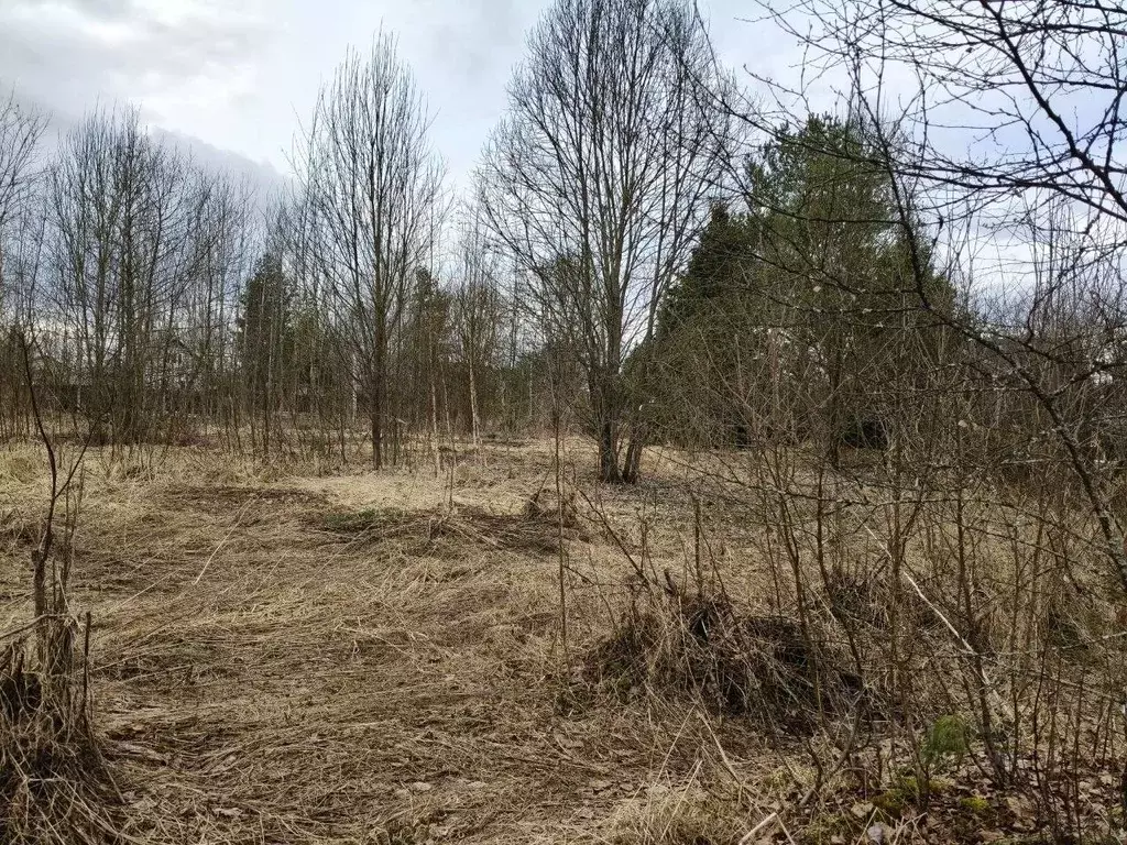Участок в Московская область, Талдомский городской округ, д. Крияново  ... - Фото 2