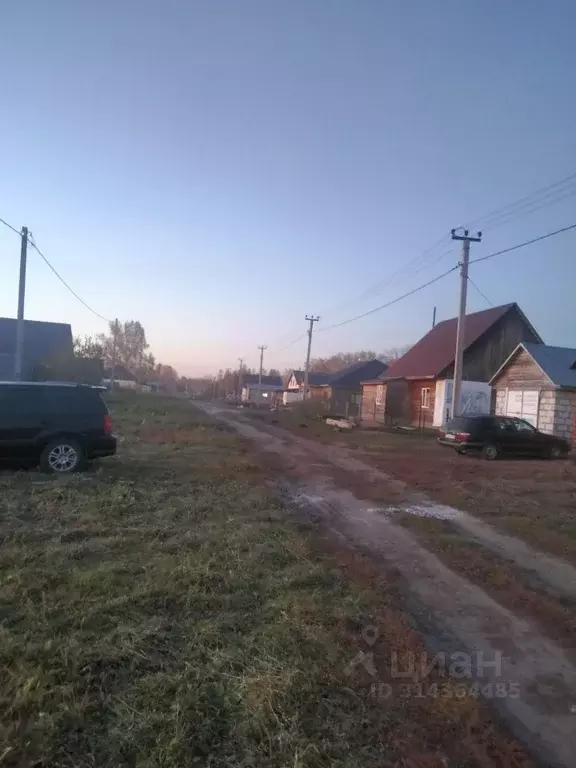 Участок в Алтайский край, Первомайский район, с. Березовка ул. Гоголя ... - Фото 1