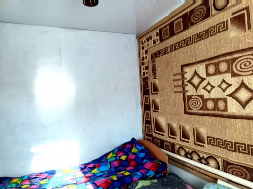 Дом в Алтайский край, Рубцовск ул. Чайковского (40 м) - Фото 2