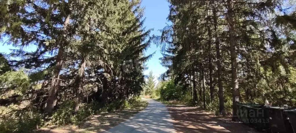 3-к кв. Крым, Бахчисарай городское поселение, Научный пгт 20 (58.0 м) - Фото 1