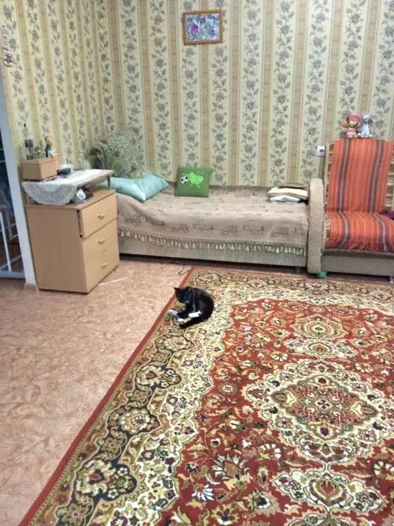 Студия Омская область, Омск ул. Бисяриной, 3 (30.0 м) - Фото 2