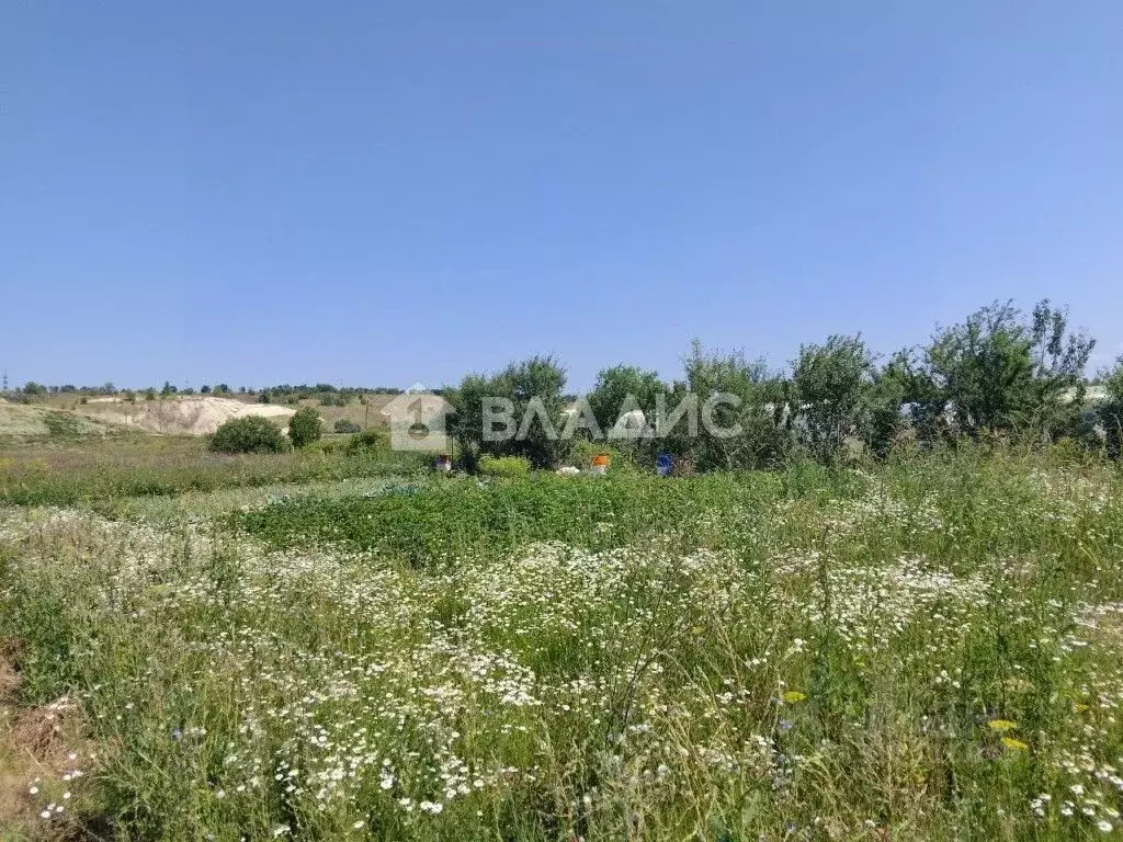 Участок в Пензенская область, с. Бессоновка ул. Коммунальная (40.0 ... - Фото 0