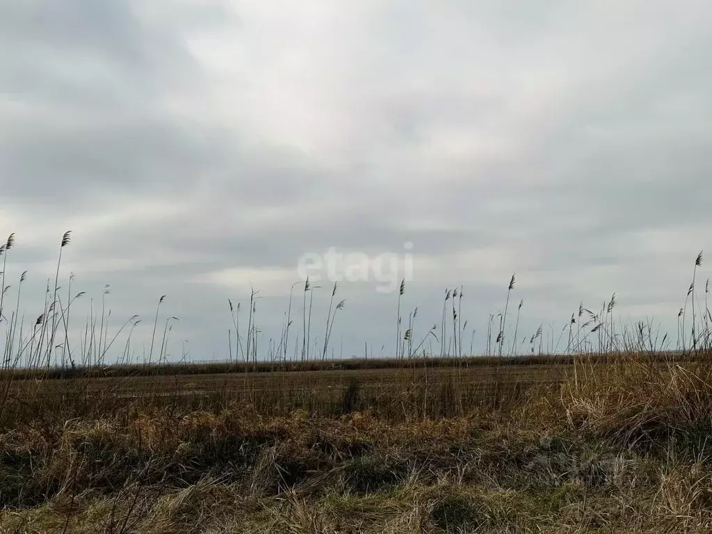 Участок в Адыгея, Тахтамукайский район, Шенджий аул  (1000.0 сот.) - Фото 0