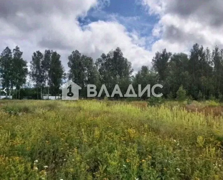 Участок в Московская область, Ступино городской округ, с. Старая Ситня ... - Фото 1